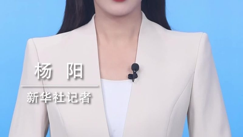 数据安全合规：企业如何筑牢信息防线
